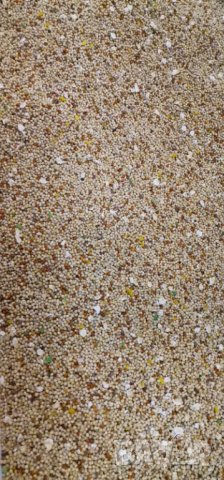 Смес\храна за вълнист папагал, снимка 5 - За птици - 14937825