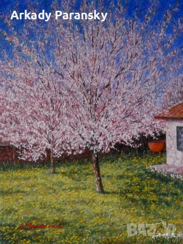 Кайсиев цвят 