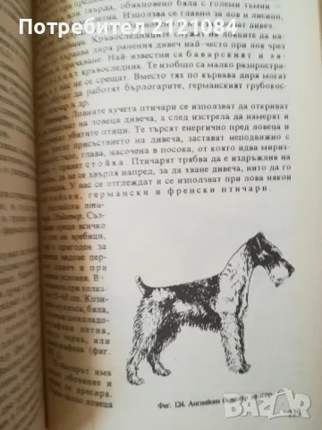 Ловно стопанство, дивечознание и рибовъдство / Ботев, Колев , снимка 5 - Специализирана литература - 48001858