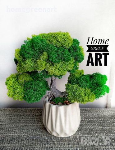 Бонзай със скандинавски мъх, снимка 5 - Декорация за дома - 33689210