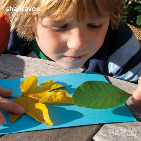 Слънчева хартия за вземане на отпечатъци, снимка 3 - Образователни игри - 51114391