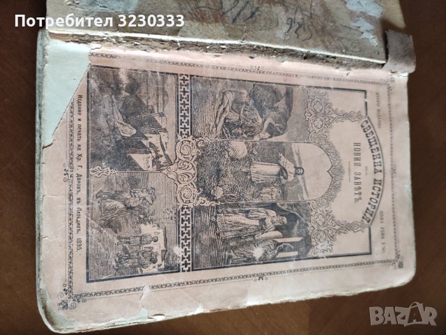 "Св. история"И Р.Блъсков 1895г.+Ботаника, снимка 14 - Антикварни и старинни предмети - 40739785