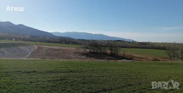 земя нива 10 дка в с. Новаково , снимка 3 - Земеделска земя - 49779988