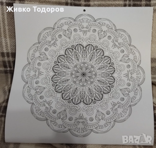 ИЗКУСТВО - книги с творби на художници и книги за оцветяване, снимка 14 - Художествена литература - 49929297