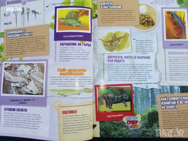 Стикер- албум "Праисторически времена" - Била - 2012г., снимка 7 - Колекции - 39309708