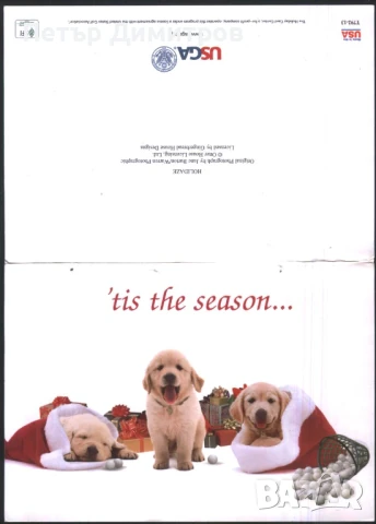 Поздравителна картичка за Коледа от САЩ, снимка 3 - Колекции - 51249914