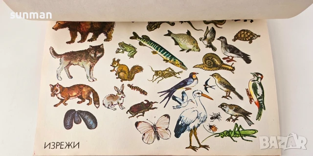 Две в едно/ Албуми за първи клас/ 1981 година, снимка 3 - Колекции - 51057137