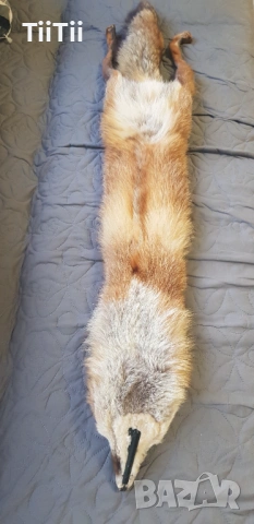 Шал от лисисица , снимка 3 - Шалове - 54230043