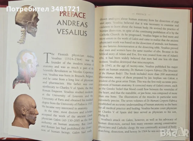 The Head and Neck. Learning How We Use Our Muscles, снимка 4 - Здраве, медицина и спорт - 55964348