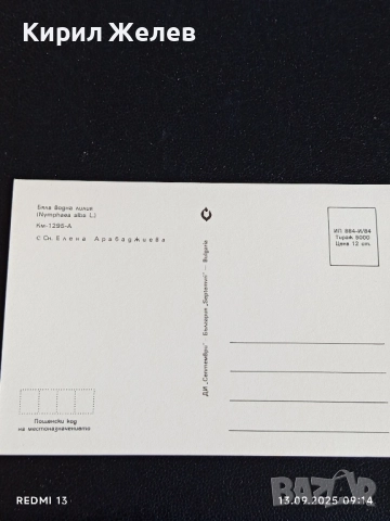 Четири пощенски картички МЕДОВА ПЕРУНИКА, СТРАНДЖАНСКА ЗВЪНИКА,ВОДНА ЛИЛИЯ 26474, снимка 13 - Филателия - 51697755