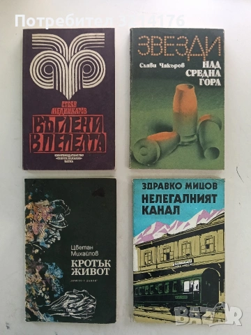 Въглени в пепелта - Стоян Медникаров