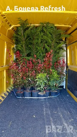 НАЙ-НИСКИ ЦЕНИ Товарно такси Бонев Бургас, региона и страната , снимка 7 - Транспортни услуги - 45189700