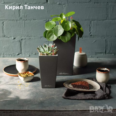 LECHUZA MINI CUBI Table Planters Самополивна Висококачествена Кашпа, снимка 5 - Саксии и кашпи - 44198180