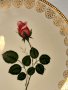 Немска порцеланова чиния роза със златен кант , снимка 3