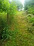 Продавам парцел в село Краево област София , снимка 12