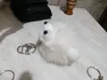 Ключодържатели разни от 2 до 5 евро брой, снимка 2