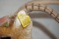 Vintage Рядка Колекционерска Коза Rocky Steiff Made In Germany от 1960г, снимка 5