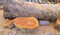 Продавам сух и мокър дървен материал ясен, бряст,дъб,орех,гледичия и иглолистен материал, снимка 10