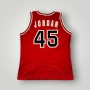 1995 Champion Chicago Bulls Jordan #45 NBA Jersey, снимка 2