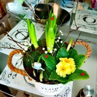 Кашпи с живи цветя, снимка 1 - Декорация за дома - 44143404