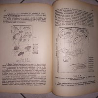 Стар учебник по "Обща тактика" на военното на негово величество училище , снимка 5 - Учебници, учебни тетрадки - 37750157