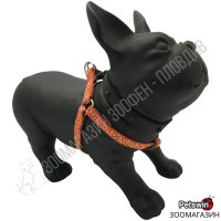 Нагръдник за Куче - XS, S, M, L - 4 размера - Dog Harness A Cute Bones Orange - Pet Interest, снимка 1 - За кучета - 39011226