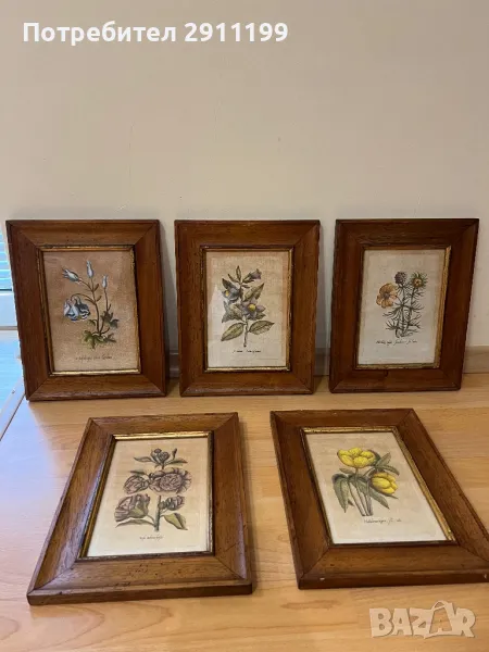 Комплект антикварни картини, 5бр., снимка 1