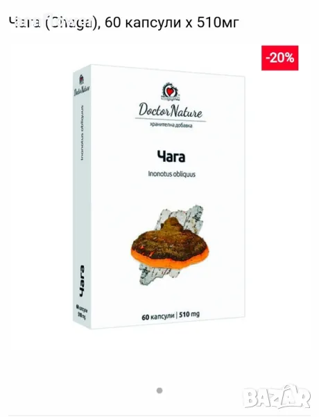 Лечебни гъби Шйтаке, Рейши, Майтаке Камфорова гъба, ,, снимка 1