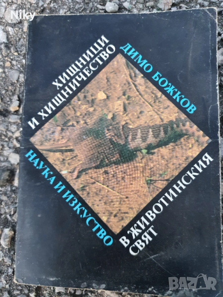 Хищници и хищничество в животинския свят , снимка 1