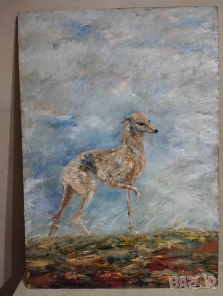 картина куче, снимка 1