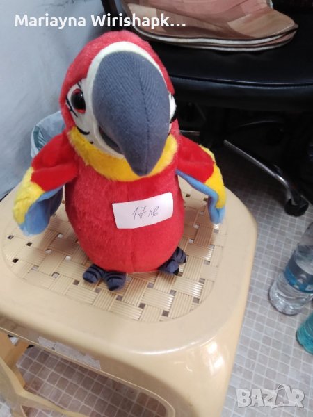 Продавам говорещ папагал, снимка 1