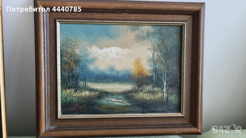 Сред природата, снимка 1