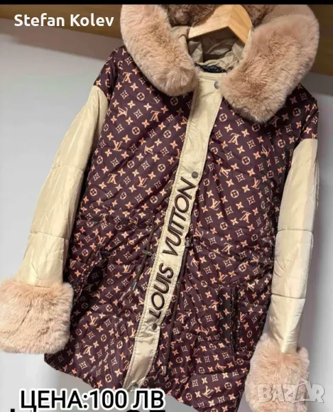 Дамско зимно Яке с пух., снимка 1