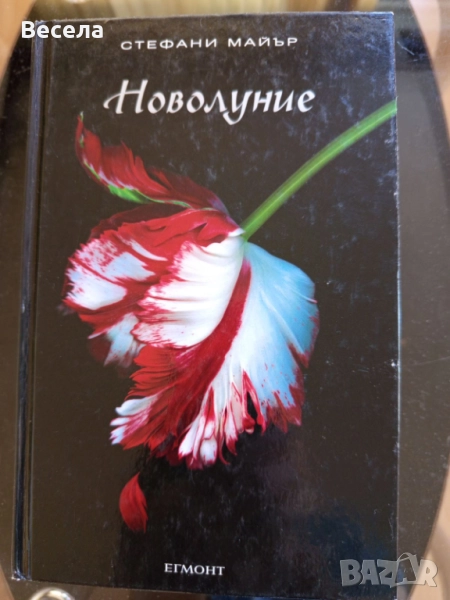 ЗДРАЧ - НОВОЛУНИЕ - СТЕФАНИ МАЙЪР, снимка 1