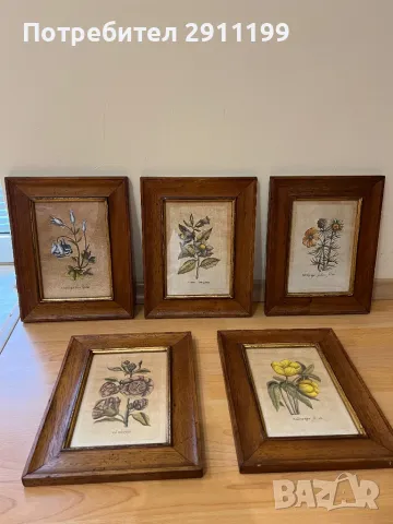 Комплект антикварни картини, 5бр.