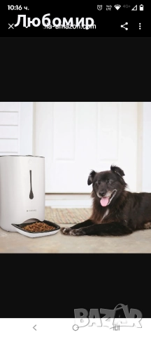 Автоматична хранилка Navaris - 6 литра с таймер и звуково известяване - за кучета и котки, бяла , снимка 5 - За кучета - 52315245