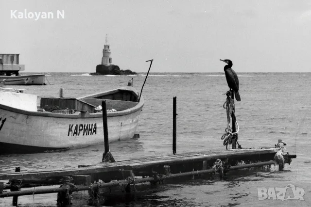 Фотоапарат Зенит Б - тяло, резба М42, снимка 11 - Фотоапарати - 56244432