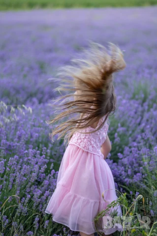 лавандилова сесия на 5мин.Пловдив , снимка 8 - Фотографи - 50738156