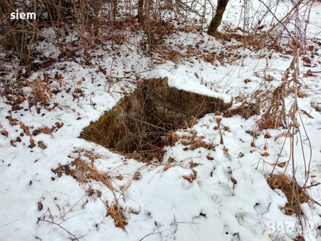 Дворно място/ Парцел 1000 кв.м, снимка 4 - Парцели - 33885672