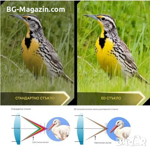 Мощен бинокъл Nikula 10×42 за лов птици животни туристически планина море BAK-4 призма професионален, снимка 4 - Екипировка - 50930559