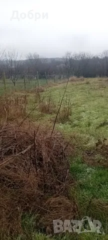 Продавам Къща Село Златар, снимка 5 - Къщи - 48644206