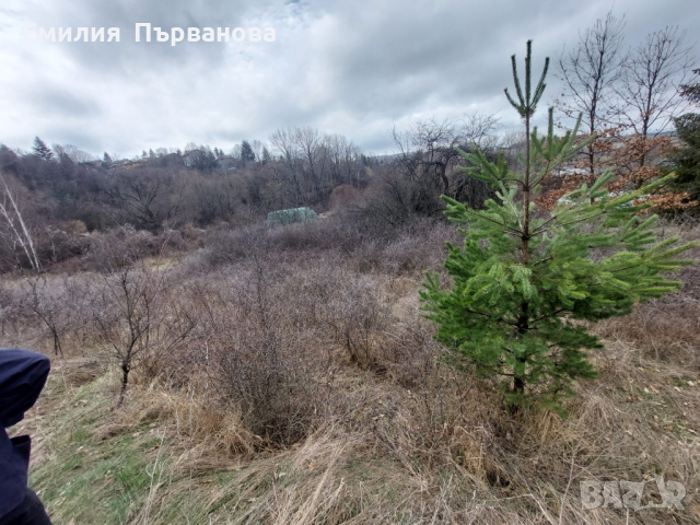 Продава  ПАРЦЕЛ в с.Мърчаево област София, снимка 11 - Парцели - 44724553