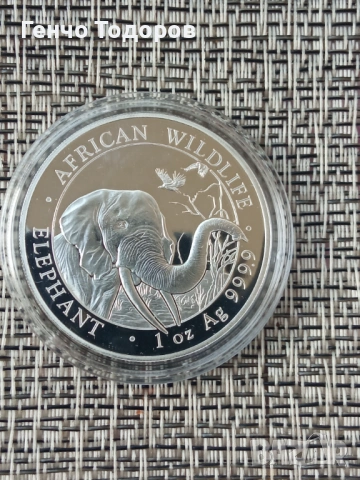 Сребърна монета 1OZ Сомалийски слон 2018