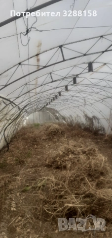 Оранжерия--ферми за оранжерия , снимка 3 - Оранжерии - 54080846