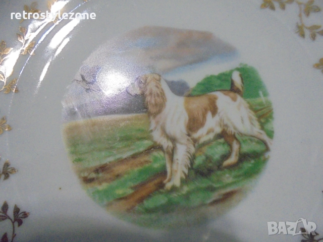 № 8215 стара порцеланова чиния / пано  - Schrvarzenhammer Germany , снимка 2 - Други ценни предмети - 51489263