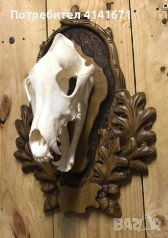 Поставки за ловни трофеи, снимка 7 - Оборудване и аксесоари за оръжия - 54237967