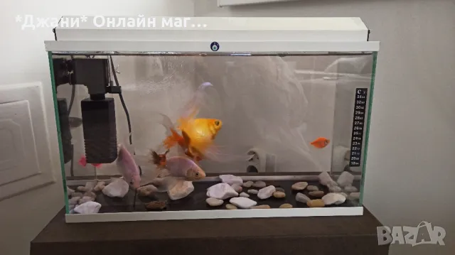 Продавам Аквариум + помпа/ нагревател ✅ 50 л., снимка 3 - Аквариуми - 47770031