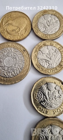 Монети Кралица Елизабет II, Генерална дирекция Б., REG.FD Паунд, снимка 7 - Нумизматика и бонистика - 53310732