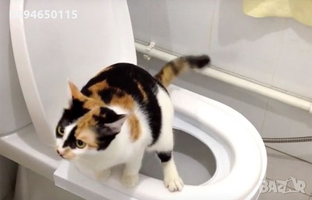 Да научим котката да ходи в човешката тоалетна! котешка коте, снимка 6 - За котки - 29790017