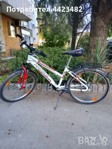 Велосипед Pegasus Avanti 24"